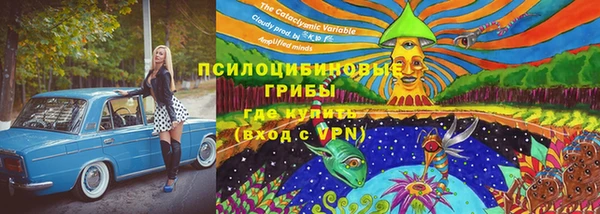 мдпв Надым